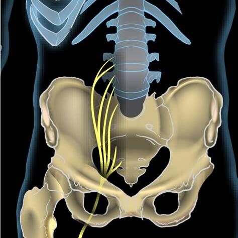 Best Neurosurgeon in Hubli Shares 7 Back Pain & Sciatica Tips – Dr. Vijaymahantesh Pujari